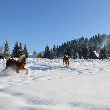 Drevenica Lodge